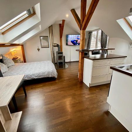 Апартаменти Wohnen Ueber Den Daechern Von Ravensburg, Stadtnah, Kamin, Klima Екстер'єр фото